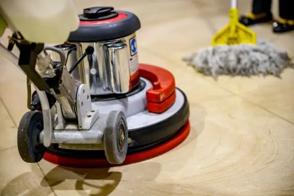 best Upholstery Cleaning